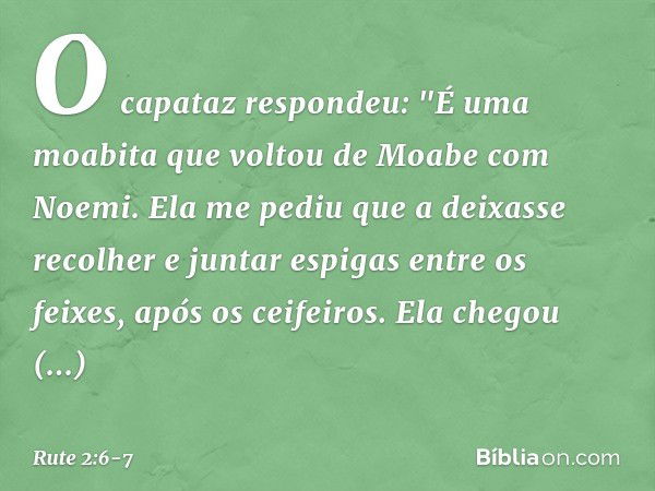 O capataz respondeu: "É uma moabita que voltou de Moabe com Noemi. Ela me pediu que a deixasse recolher e juntar espigas entre os feixes, após os ceifeiros. Ela