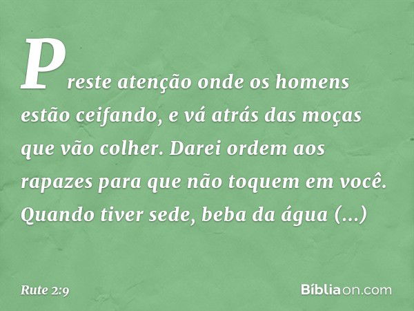 Preste atenção onde os homens estão ceifando, e vá atrás das moças que vão colher. Darei ordem aos rapazes para que não toquem em você. Quan­do tiver sede, beba