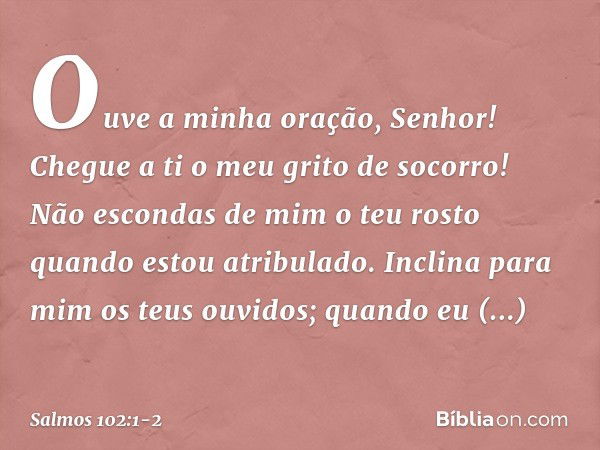 Ouve a minha oração, Senhor!
Chegue a ti o meu grito de socorro! Não escondas de mim o teu rosto
quando estou atribulado.
Inclina para mim os teus ouvidos;
quan