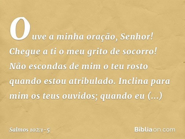 Ouve a minha oração, Senhor!
Chegue a ti o meu grito de socorro! Não escondas de mim o teu rosto
quando estou atribulado.
Inclina para mim os teus ouvidos;
quan