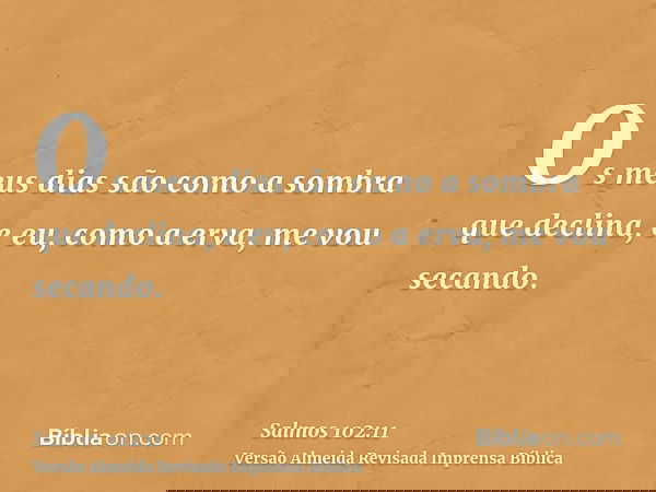 Os meus dias são como a sombra que declina, e eu, como a erva, me vou secando.