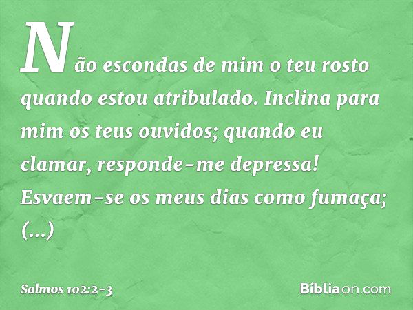 Não escondas de mim o teu rosto
quando estou atribulado.
Inclina para mim os teus ouvidos;
quando eu clamar, responde-me depressa! Esvaem-se os meus dias como f