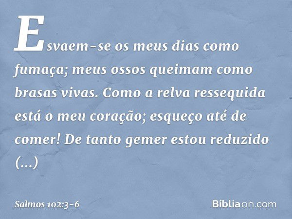 Esvaem-se os meus dias como fumaça;
meus ossos queimam como brasas vivas. Como a relva ressequida está o meu coração;
esqueço até de comer! De tanto gemer estou