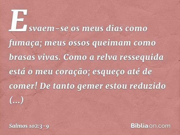 Esvaem-se os meus dias como fumaça;
meus ossos queimam como brasas vivas. Como a relva ressequida está o meu coração;
esqueço até de comer! De tanto gemer estou