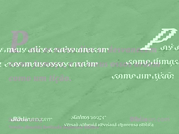 Pois os meus dias se desvanecem como fumaça, e os meus ossos ardem como um tição.