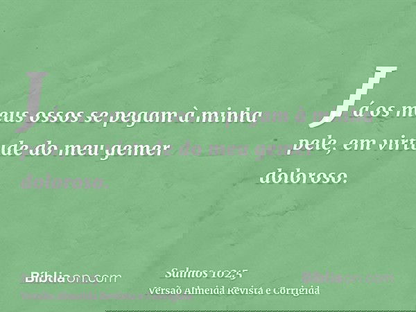 Já os meus ossos se pegam à minha pele, em virtude do meu gemer doloroso.