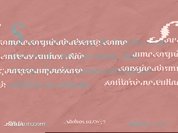 Sou como a coruja do deserto,
como uma coruja entre as ruínas. Não consigo dormir;
pareço um pássaro solitário no telhado. -- Salmo 102:6-7