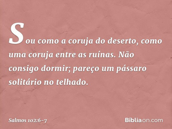 Sou como a coruja do deserto,
como uma coruja entre as ruínas. Não consigo dormir;
pareço um pássaro solitário no telhado. -- Salmo 102:6-7