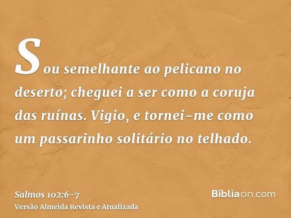 Sou semelhante ao pelicano no deserto; cheguei a ser como a coruja das ruínas.Vigio, e tornei-me como um passarinho solitário no telhado.