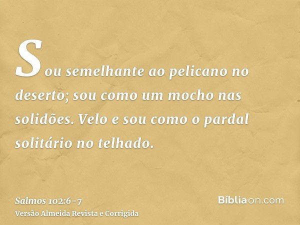 Sou semelhante ao pelicano no deserto; sou como um mocho nas solidões.Velo e sou como o pardal solitário no telhado.