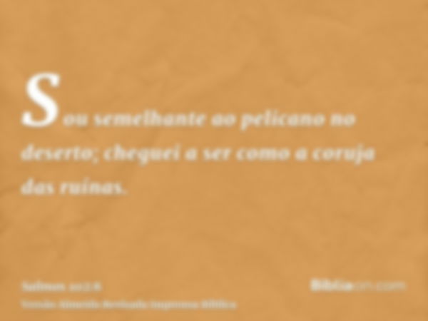 Sou semelhante ao pelicano no deserto; cheguei a ser como a coruja das ruínas.