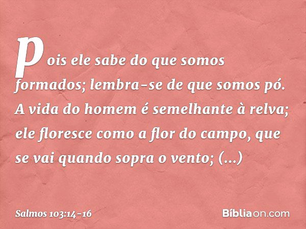 pois ele sabe do que somos formados;
lembra-se de que somos pó. A vida do homem é semelhante à relva;
ele floresce como a flor do campo, que se vai quando sopra