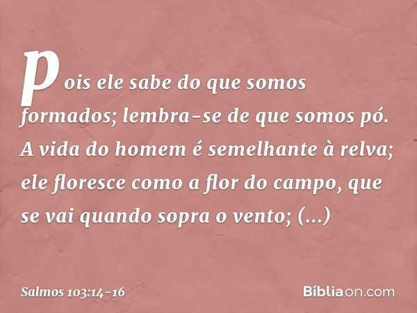 pois ele sabe do que somos formados;
lembra-se de que somos pó. A vida do homem é semelhante à relva;
ele floresce como a flor do campo, que se vai quando sopra