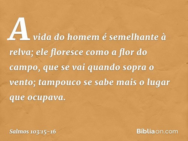 A vida do homem é semelhante à relva;
ele floresce como a flor do campo, que se vai quando sopra o vento;
tampouco se sabe mais o lugar que ocupava. -- Salmo 10