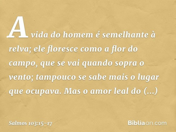 A vida do homem é semelhante à relva;
ele floresce como a flor do campo, que se vai quando sopra o vento;
tampouco se sabe mais o lugar que ocupava. Mas o amor 