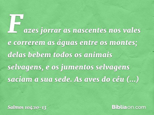 Fazes jorrar as nascentes nos vales
e correrem as águas entre os montes; delas bebem todos os animais selvagens,
e os jumentos selvagens saciam a sua sede. As a