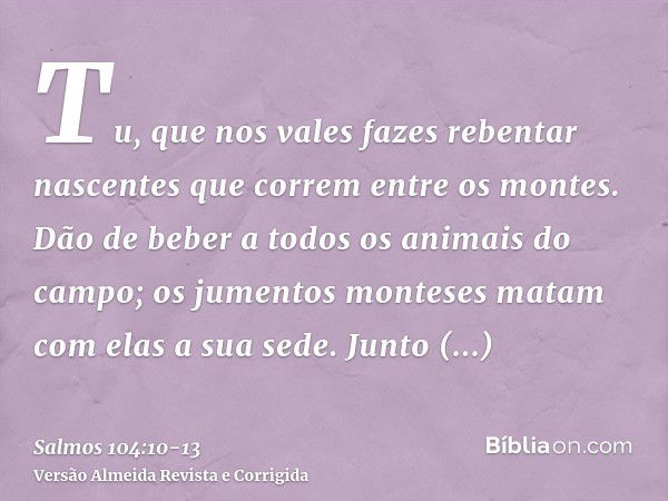 Tu, que nos vales fazes rebentar nascentes que correm entre os montes.Dão de beber a todos os animais do campo; os jumentos monteses matam com elas a sua sede.J