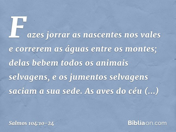 Fazes jorrar as nascentes nos vales
e correrem as águas entre os montes; delas bebem todos os animais selvagens,
e os jumentos selvagens saciam a sua sede. As a