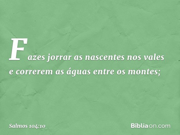 Fazes jorrar as nascentes nos vales
e correrem as águas entre os montes; -- Salmo 104:10