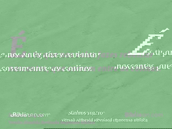 És tu que nos vales fazes rebentar nascentes, que correm entre as colinas.