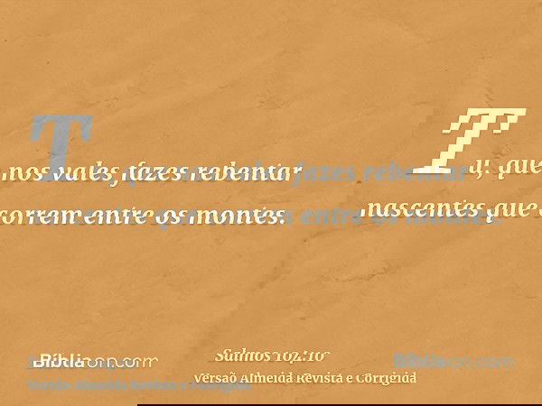 Tu, que nos vales fazes rebentar nascentes que correm entre os montes.