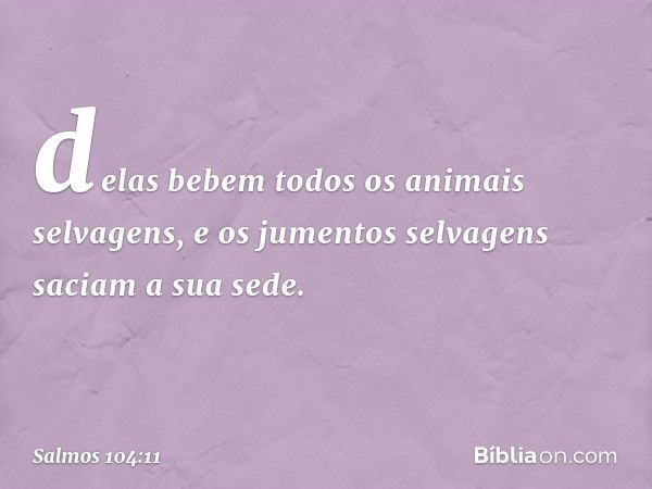 delas bebem todos os animais selvagens,
e os jumentos selvagens saciam a sua sede. -- Salmo 104:11