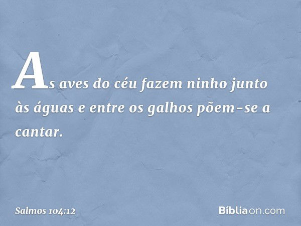 As aves do céu fazem ninho junto às águas
e entre os galhos põem-se a cantar. -- Salmo 104:12