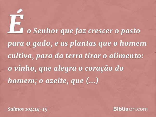 É o Senhor que faz crescer o pasto para o gado,
e as plantas que o homem cultiva,
para da terra tirar o alimento: o vinho, que alegra o coração do homem;
o azei