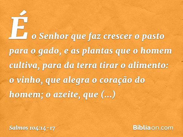 É o Senhor que faz crescer o pasto para o gado,
e as plantas que o homem cultiva,
para da terra tirar o alimento: o vinho, que alegra o coração do homem;
o azei