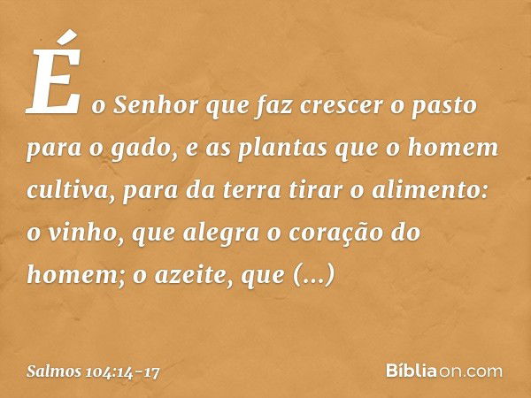 É o Senhor que faz crescer o pasto para o gado,
e as plantas que o homem cultiva,
para da terra tirar o alimento: o vinho, que alegra o coração do homem;
o azei