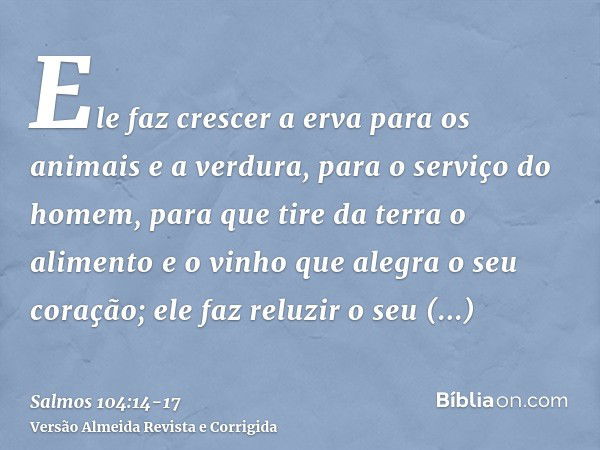 Ele faz crescer a erva para os animais e a verdura, para o serviço do homem, para que tire da terra o alimentoe o vinho que alegra o seu coração; ele faz reluzi