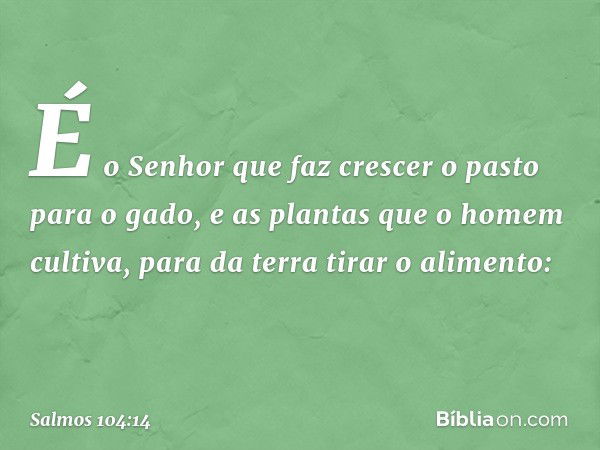 É o Senhor que faz crescer o pasto para o gado,
e as plantas que o homem cultiva,
para da terra tirar o alimento: -- Salmo 104:14