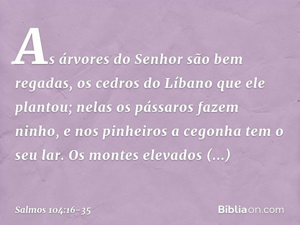 As árvores do Senhor são bem regadas,
os cedros do Líbano que ele plantou; nelas os pássaros fazem ninho,
e nos pinheiros a cegonha tem o seu lar. Os montes ele