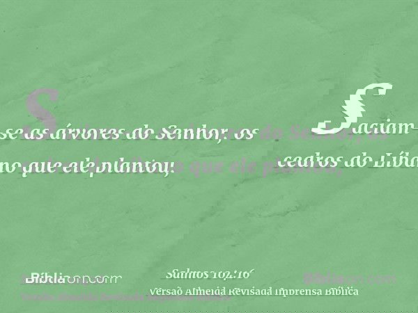 Saciam-se as árvores do Senhor, os cedros do Líbano que ele plantou,