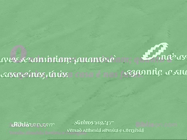 onde as aves se aninham; quanto à cegonha, a sua casa é nas faias.