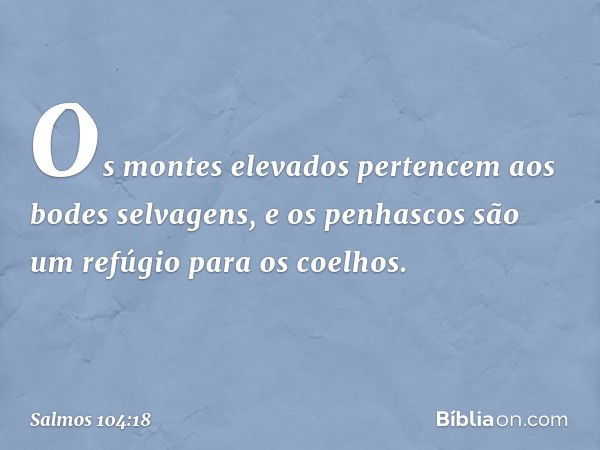 Os montes elevados pertencem
aos bodes selvagens,
e os penhascos são um refúgio para os coelhos. -- Salmo 104:18