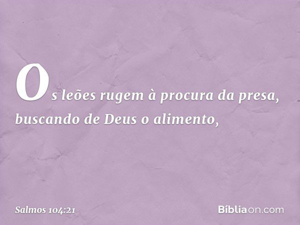 Os leões rugem à procura da presa,
buscando de Deus o alimento, -- Salmo 104:21