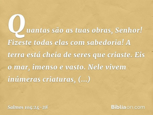 Quantas são as tuas obras, Senhor!
Fizeste todas elas com sabedoria!
A terra está cheia de seres que criaste. Eis o mar, imenso e vasto.
Nele vivem inúmeras cri