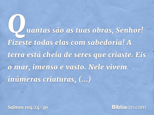 Quantas são as tuas obras, Senhor!
Fizeste todas elas com sabedoria!
A terra está cheia de seres que criaste. Eis o mar, imenso e vasto.
Nele vivem inúmeras cri