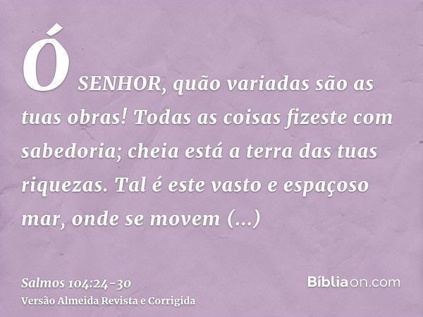 Ó SENHOR, quão variadas são as tuas obras! Todas as coisas fizeste com sabedoria; cheia está a terra das tuas riquezas.Tal é este vasto e espaçoso mar, onde se 