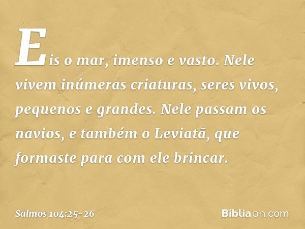 Eis o mar, imenso e vasto.
Nele vivem inúmeras criaturas,
seres vivos, pequenos e grandes. Nele passam os navios,
e também o Leviatã,
que formaste para com ele 