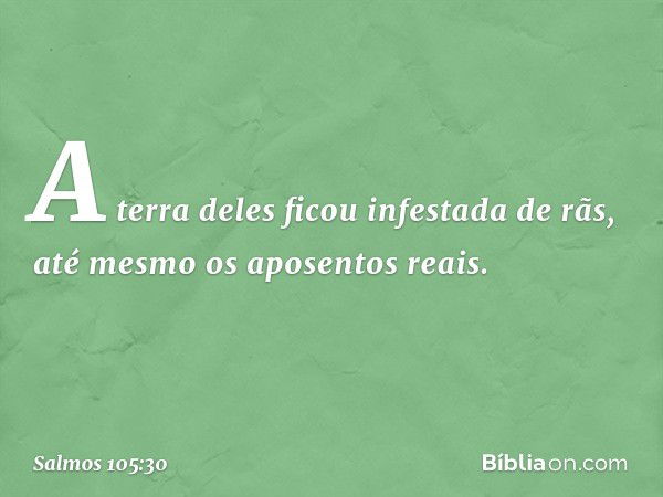 A terra deles ficou infestada de rãs,
até mesmo os aposentos reais. -- Salmo 105:30