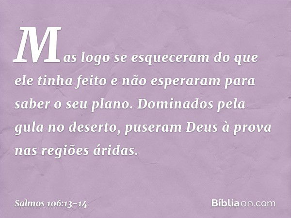 Mas logo se esqueceram do que ele tinha feito
e não esperaram para saber o seu plano. Dominados pela gula no deserto,
puseram Deus à prova nas regiões áridas. -