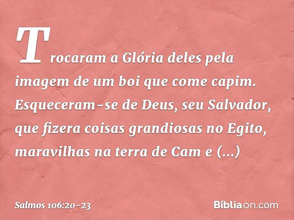 Trocaram a Glória deles
pela imagem de um boi que come capim. Esqueceram-se de Deus, seu Salvador,
que fizera coisas grandiosas no Egito, maravilhas na terra de