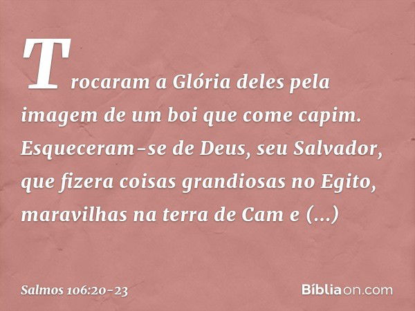 Trocaram a Glória deles
pela imagem de um boi que come capim. Esqueceram-se de Deus, seu Salvador,
que fizera coisas grandiosas no Egito, maravilhas na terra de