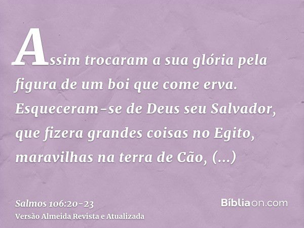 Assim trocaram a sua glória pela figura de um boi que come erva.Esqueceram-se de Deus seu Salvador, que fizera grandes coisas no Egito,maravilhas na terra de Cã