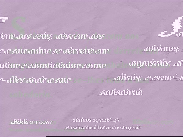 Sobem aos céus, descem aos abismos, e a sua alma se derrete em angústias.Andam e cambaleiam como ébrios, e esvai-se-lhes toda a sua sabedoria.