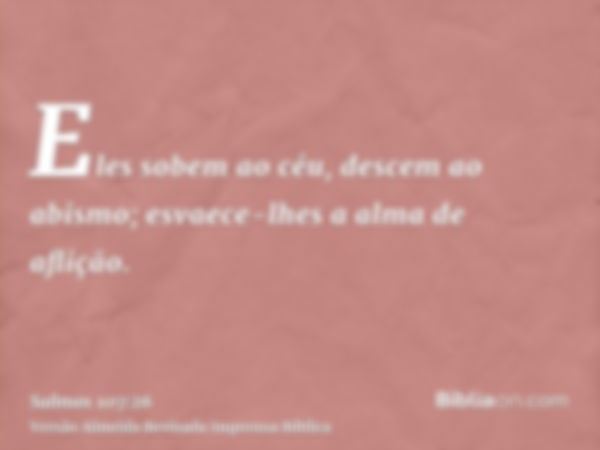 Eles sobem ao céu, descem ao abismo; esvaece-lhes a alma de aflição.