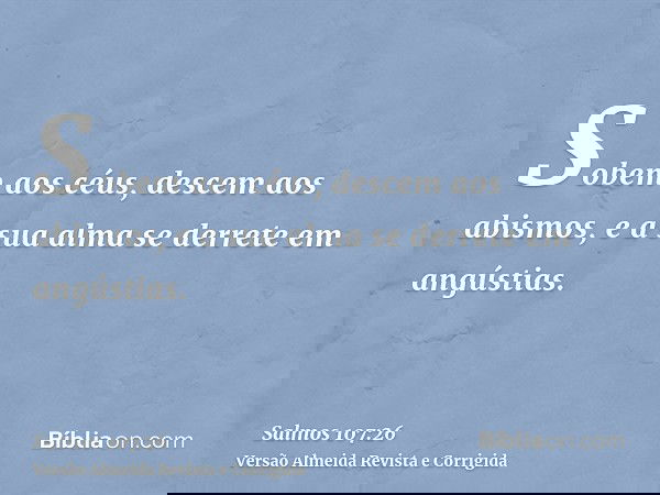 Sobem aos céus, descem aos abismos, e a sua alma se derrete em angústias.