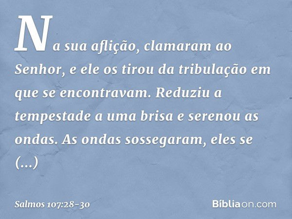 Na sua aflição, clamaram ao Senhor,
e ele os tirou da tribulação
em que se encontravam. Reduziu a tempestade a uma brisa
e serenou as ondas. As ondas sossegaram